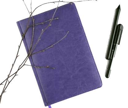 Blaues Notizbuch mit Stiften und einem Zweig